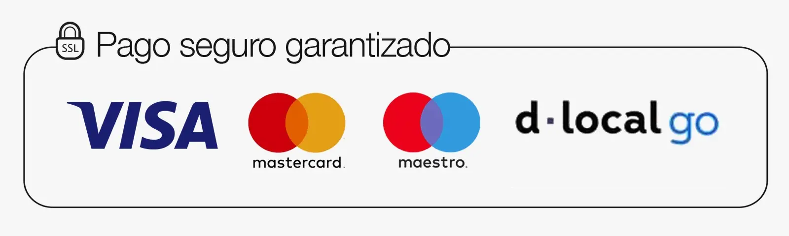 Pago seguro garantizado: Visa, Mastercard, Maestro, dLocal Go