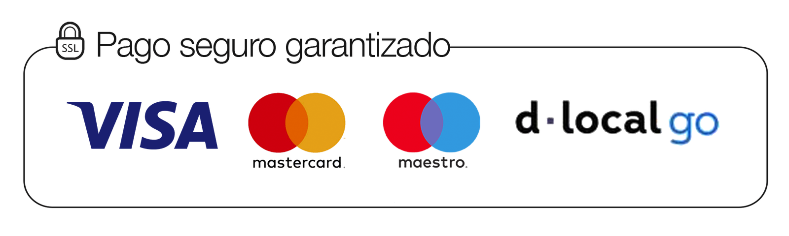 Pago seguro garantizado: Visa, Mastercard, Maestro, dLocal Go